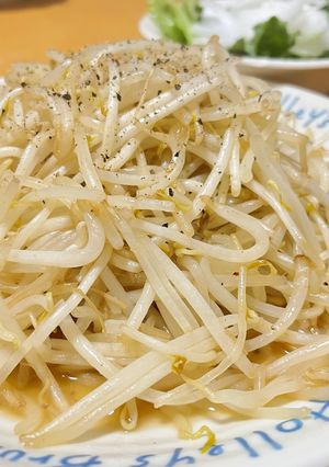 シャキッと☆シンプル もやし炒め-レシピのメイン写真