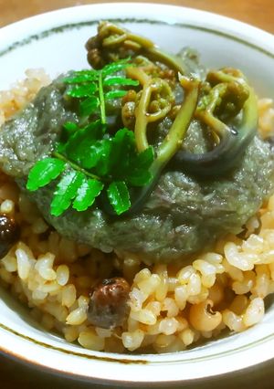 蕨のたたきソースかけご飯　-レシピのメイン写真
