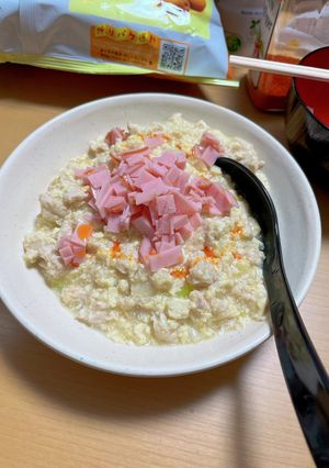 鶏ひき肉で塩麻婆豆腐もどき-レシピのメイン写真