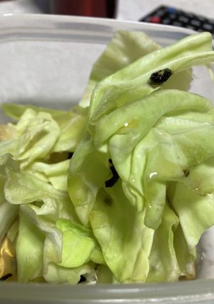 キャベツ塩昆布和え-レシピのメイン写真