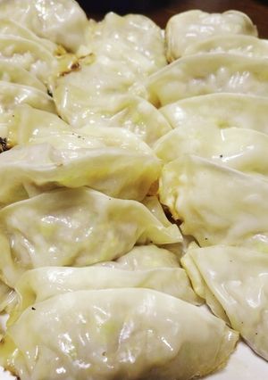 春キャベツの餃子-レシピのメイン写真