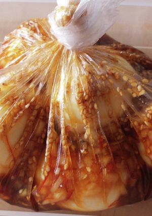 早朝弁当★袋の中で★玉ねぎだけの麻薬玉子-レシピのメイン写真