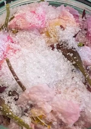 雪鹽漬櫻花-レシピのメイン写真
