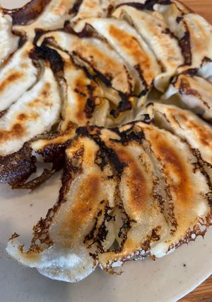 餃子の焼き方-レシピのメイン写真
