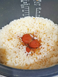 梅干しの炊き込みご飯-レシピのメイン写真