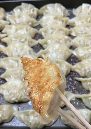 肉餃子と大葉入り肉餃子＊ホットプレート-レシピのメイン写真