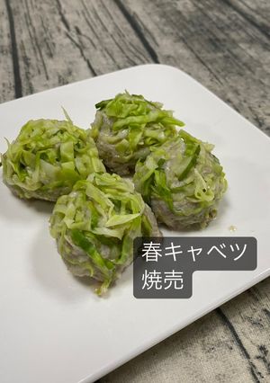 春キャベツ焼売-レシピのメイン写真