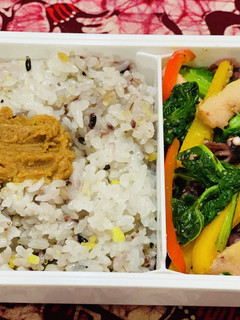 ホタルイカ・菜花・筍の塩麹炒め弁当-レシピのメイン写真