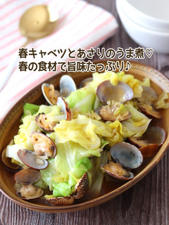 春キャベツとあさりのうま煮-レシピのメイン写真