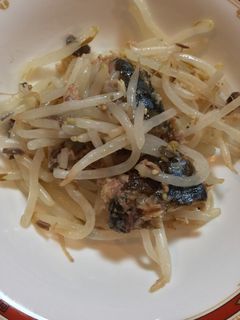 さばの味噌煮缶ともやしのサラダ-レシピのメイン写真