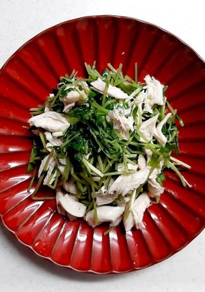 ささみと豆苗のサラダ-レシピのメイン写真