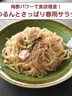 梅酢パワーで食欲増進!さっぱり春雨サラダ-レシピのメイン写真