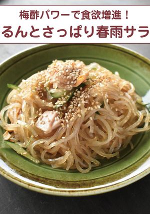 梅酢パワーで食欲増進!さっぱり春雨サラダ-レシピのメイン写真