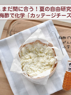 梅酢で化学「カッテージチーズ」-レシピのメイン写真