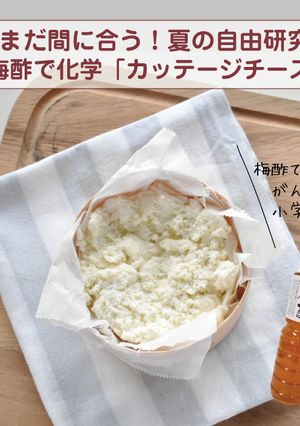 梅酢で化学「カッテージチーズ」-レシピのメイン写真