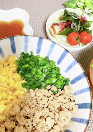 お弁当にもぴったり！〜3色そぼろご飯〜-レシピのメイン写真