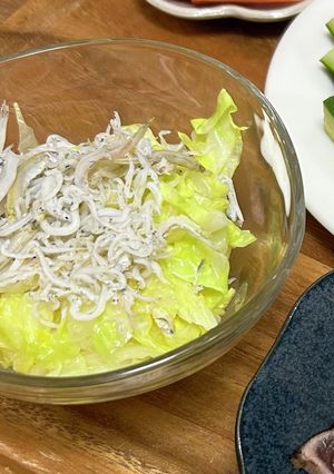 春キャベツのしらすのせ(ごま油)-レシピのメイン写真