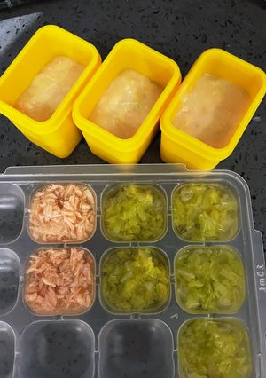 離乳食サーモンと白菜&クリーム煮　ソース-レシピのメイン写真