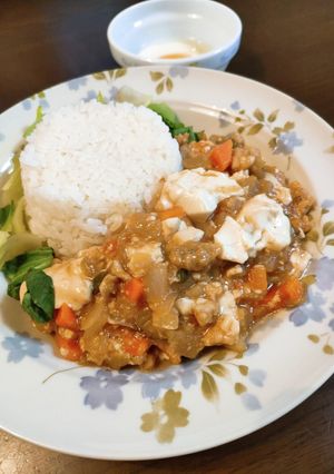 塩酒粕と醤油酒粕の麻婆豆腐丼-レシピのメイン写真
