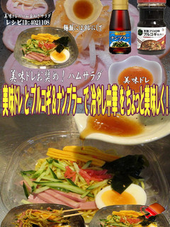 美味ドレとプルコギナンプラーで冷やし中華-レシピのメイン写真