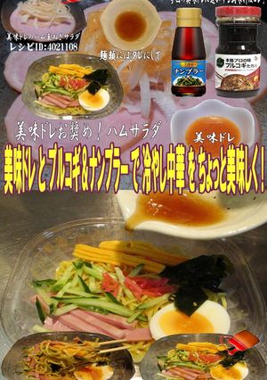 美味ドレとプルコギナンプラーで冷やし中華-レシピのメイン写真