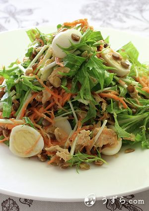 シャキシャキ水菜サラダ【うずら.com】-レシピのメイン写真