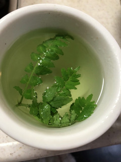 木の芽茶-レシピのメイン写真