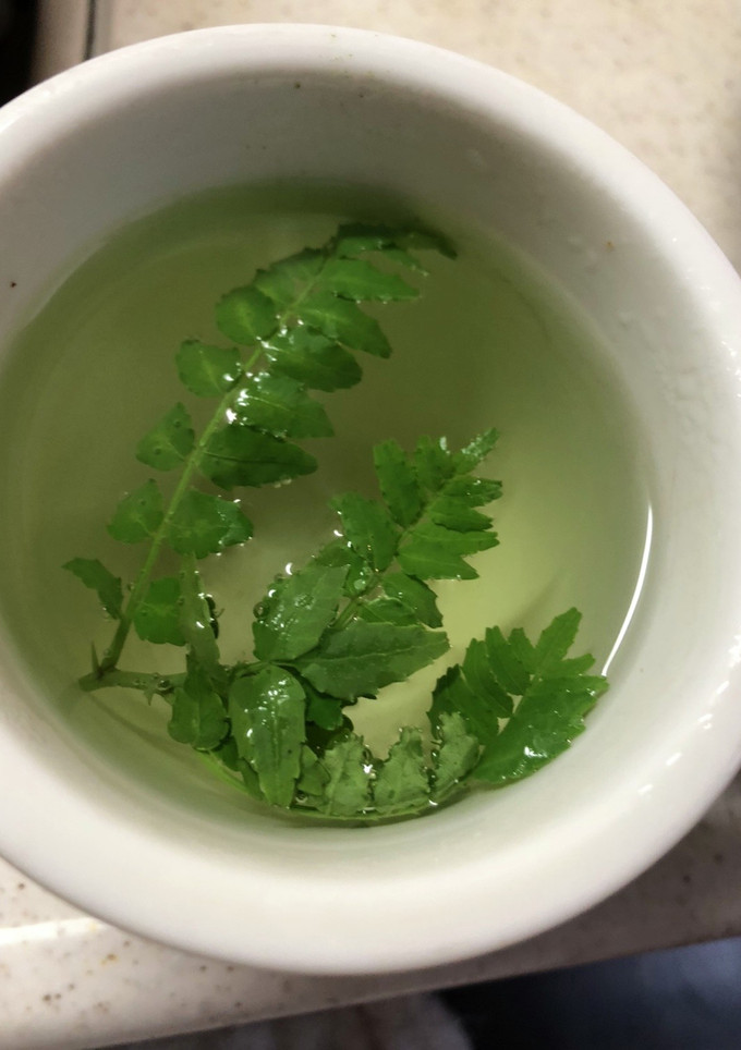 木の芽茶-レシピのメイン写真
