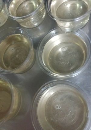 パールアガー８で作る黒酢ゼリー-レシピのメイン写真