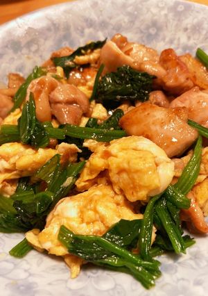 鶏肉とほうれん草の中華炒め-レシピのメイン写真