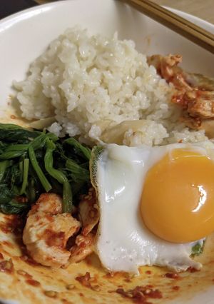 辛鶏飯-レシピのメイン写真
