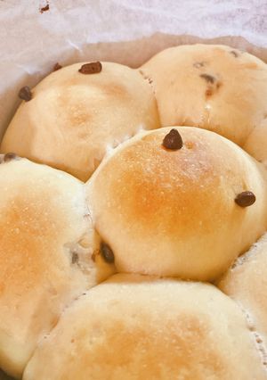 簡単発酵！コーヒーチョコパン-レシピのメイン写真