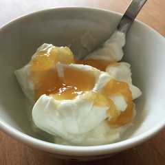 Honey yogurt-レシピのメイン写真