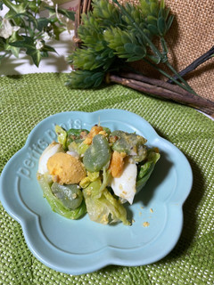 春キャベツとそら豆のサラダ-レシピのメイン写真