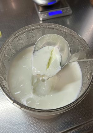 種菌を小岩井プラズマ乳酸菌でヨーグルト-レシピのメイン写真