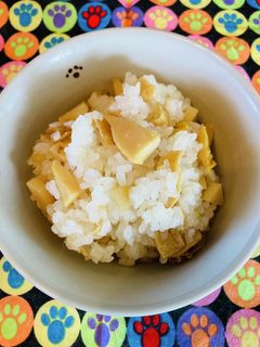 春来てるよー!たけのこと油揚げの混ぜご飯-レシピのメイン写真