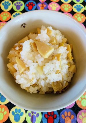 春来てるよー！たけのこと油揚げの混ぜご飯-レシピのメイン写真