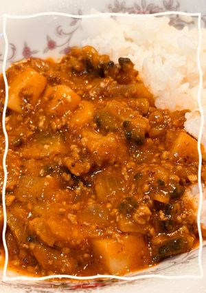 市販ルウで!ゴーヤとなすの夏キーマカレー-レシピのメイン写真
