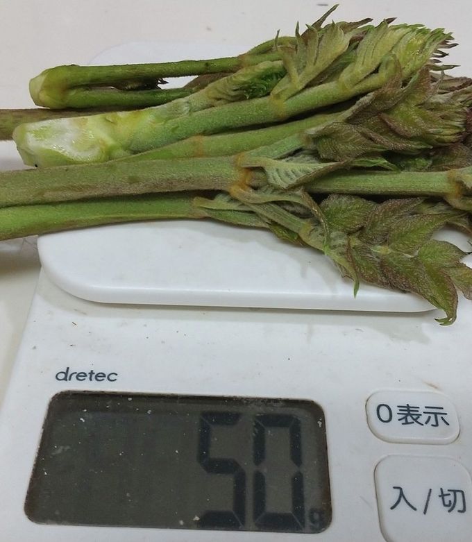 たらのめ タラの芽のおひたし by クックちゃる 【クックパッド】 簡単