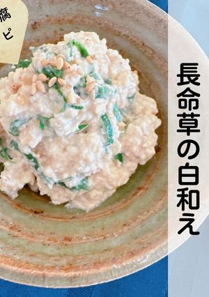 沖縄伝統島野菜『長命草』の白和え-レシピのメイン写真