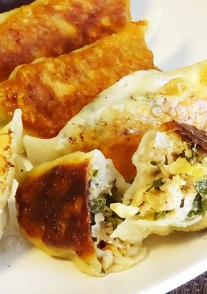 干し野菜たっぷりの焼き餃子の作り方-レシピのメイン写真