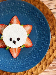 【犬用ケーキ】簡単♡お誕生日や記念日に-レシピのメイン写真