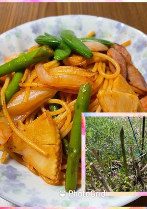 春野菜のスパゲッティ（2023）-レシピのメイン写真
