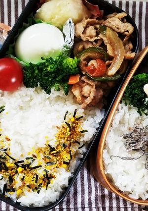 野菜炒め弁当(4.11)-レシピのメイン写真