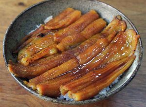 市販の焼き穴子で高級あなご丼-レシピのメイン写真
