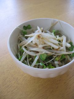もやしのめんつゆあえ。-レシピのメイン写真