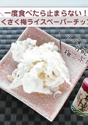 さくさく梅ライスペーパーチップス-レシピのメイン写真