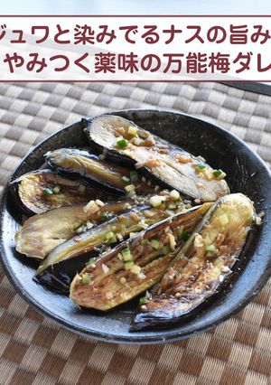 ナスの旨みにやみつく万能梅ダレ♪-レシピのメイン写真
