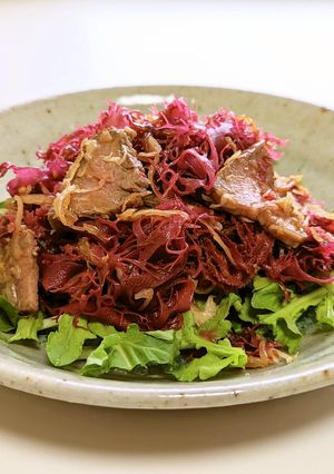 モチっと食感 あったかトサカノリと肉野菜-レシピのメイン写真