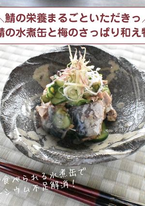鯖の水煮缶と梅のさっぱり和え物-レシピのメイン写真